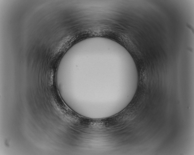 X0000099440694200805231718
