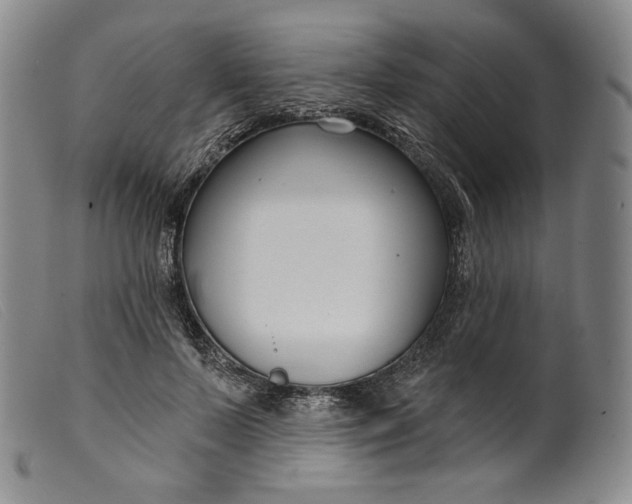 X0000099440695200805231718