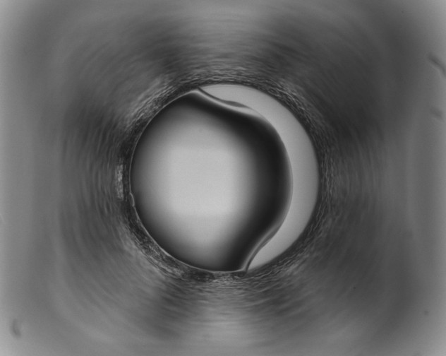 X0000099440696200805231718