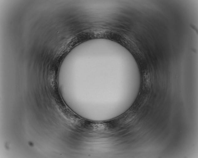 X0000099440698200805231718