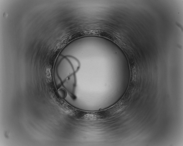 X0000099440699200805231718