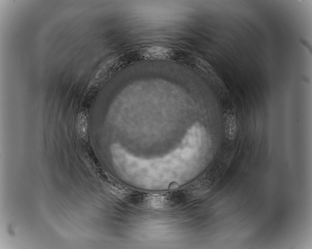 X0000099440701200805231718