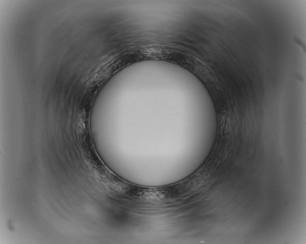 X0000099440702200805231718