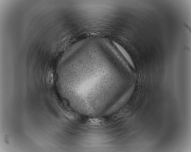 X0000099440703200805231718