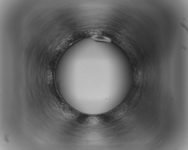 X0000099440704200805231718