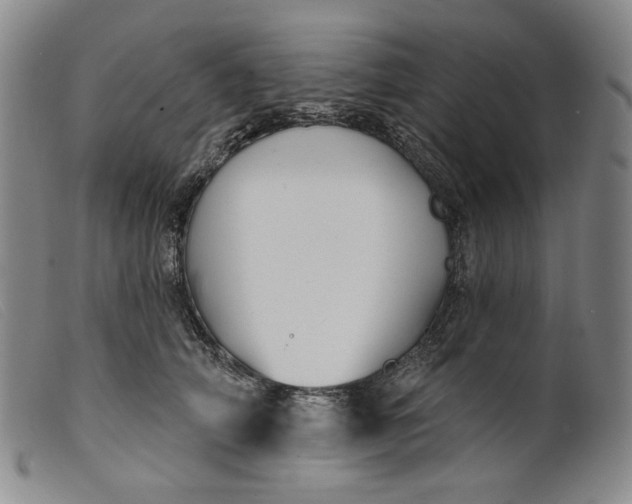 X0000099440706200805231718