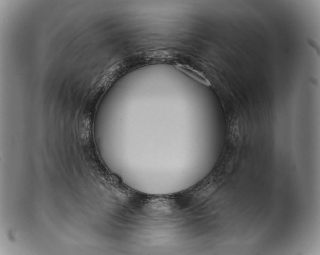 X0000099440708200805231718