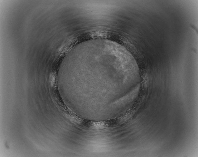 X0000099440709200805231718