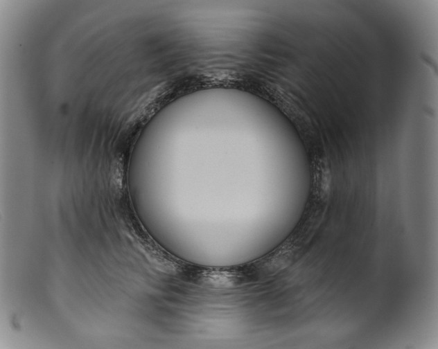 X0000099440710200805231718