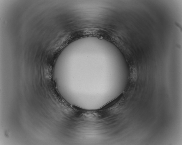 X0000099440712200805231718