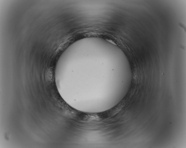X0000099440715200805231717