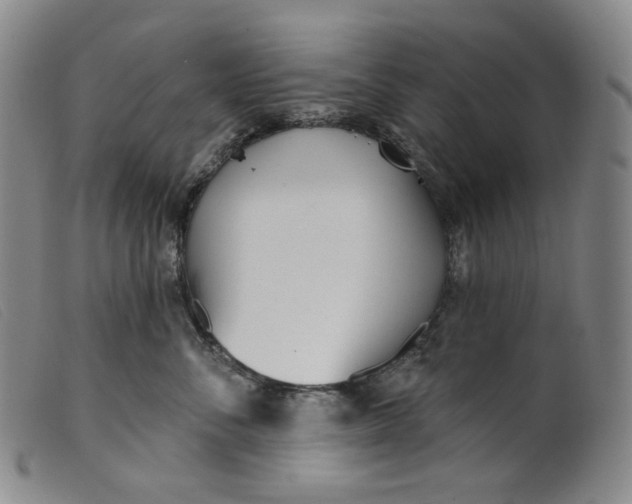 X0000099440716200805231717