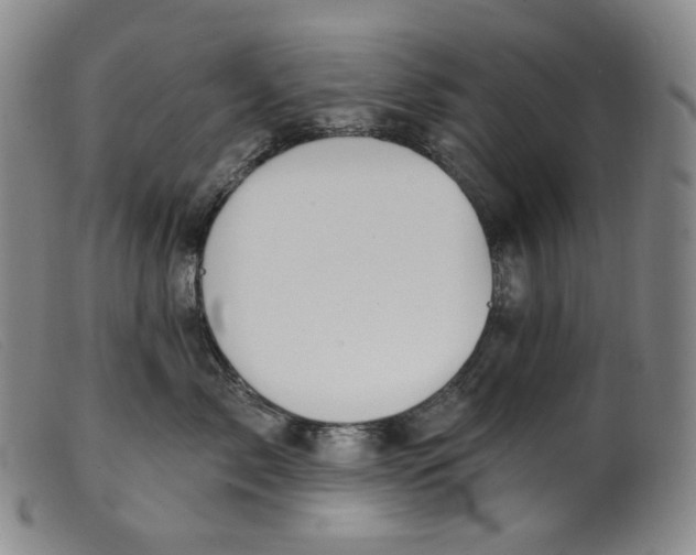 X0000099440717200805231717