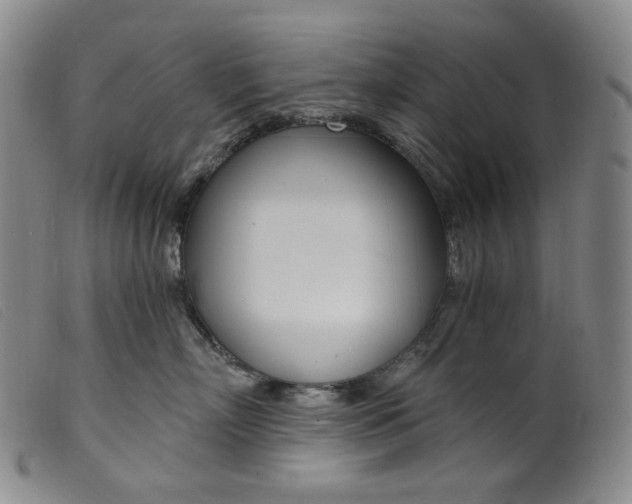 X0000099440718200805231717