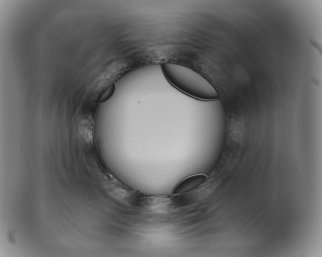 X0000099440719200805231717