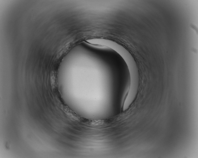 X0000099440720200805231717