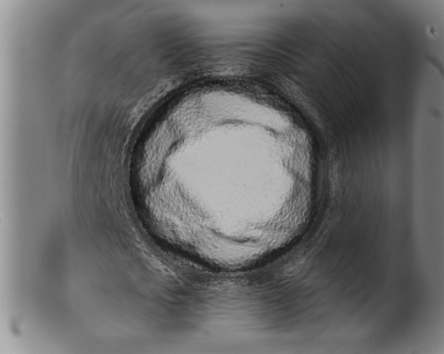 X0000099440721200805231716