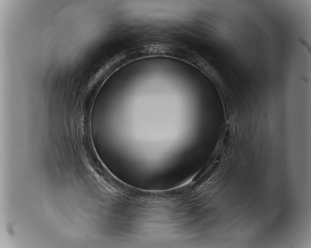 X0000099440722200805231716