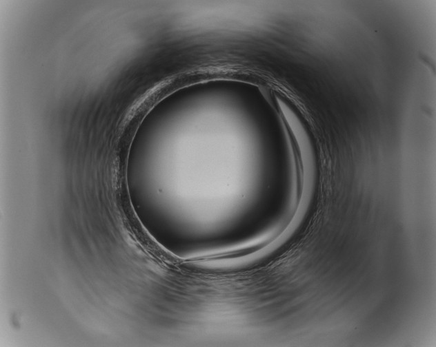 X0000099440724200805231716