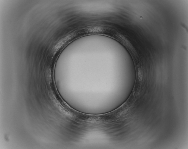 X0000099440725200805231716