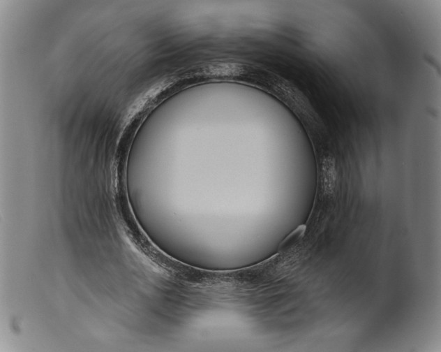 X0000099440726200805231716