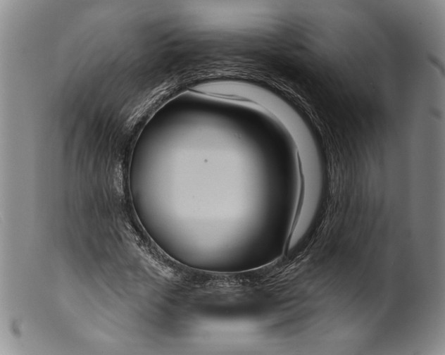 X0000099440729200805231717