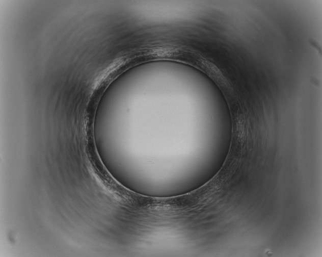 X0000099440730200805231717