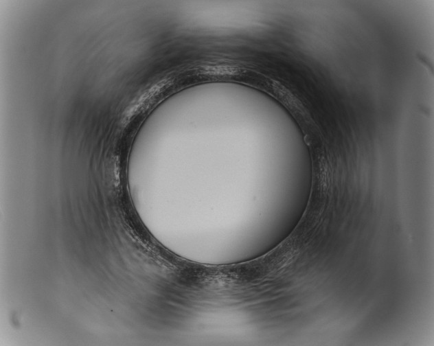 X0000099440731200805231717