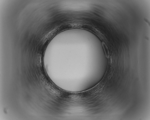 X0000099440733200805231717
