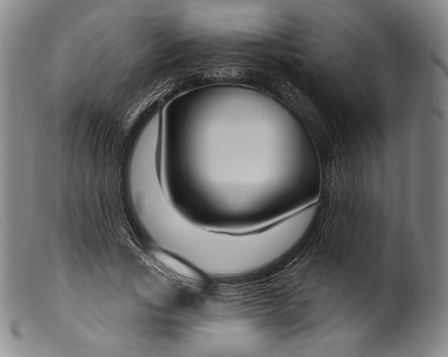 X0000099440735200805231717