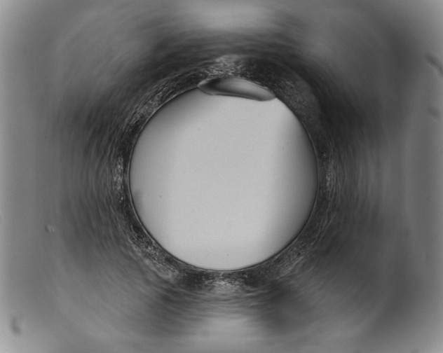 X0000099440737200805231717