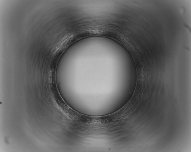 X0000099440738200805231717