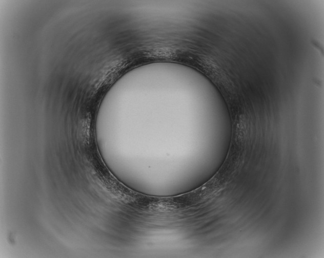 X0000099440739200805231717