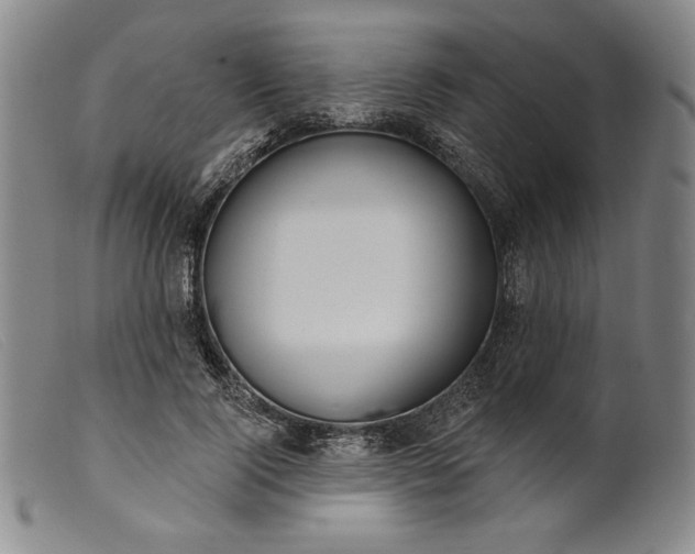 X0000099440740200805231717