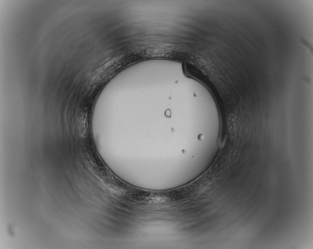 X0000099440741200805231717