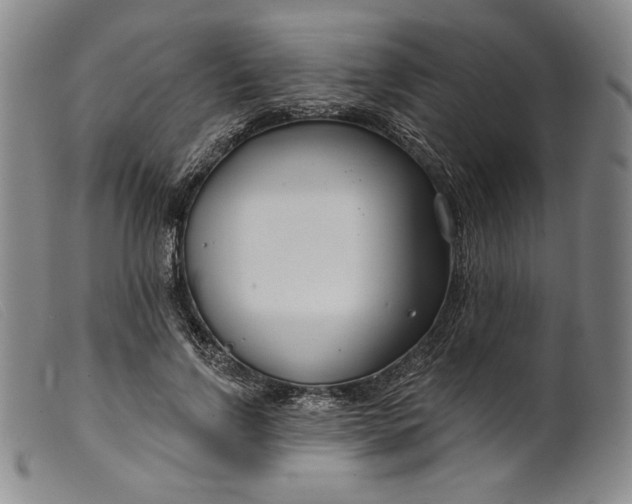 X0000099440742200805231717