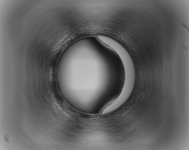 X0000099440744200805231717