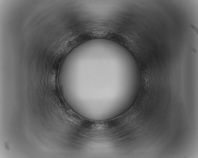 X0000099440745200805231717