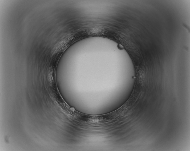 X0000099440746200805231717