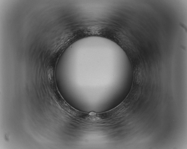 X0000099440747200805231717
