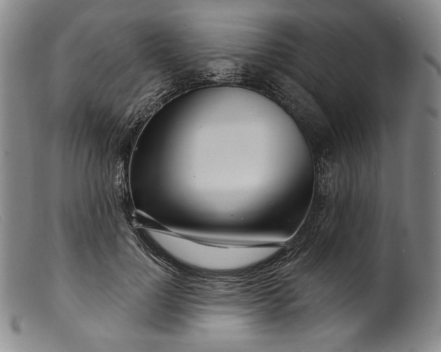 X0000099440748200805231717