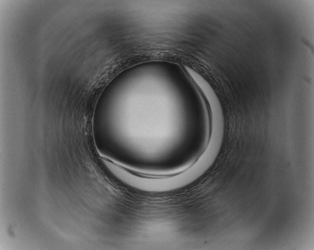 X0000099440750200805231717