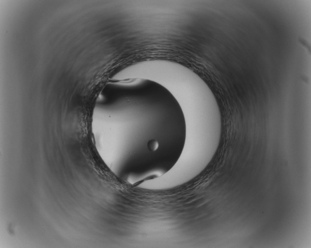 X0000099440751200805231717