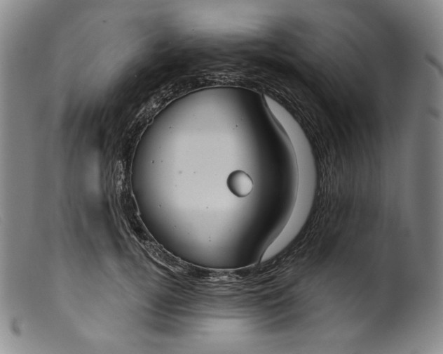 X0000099440752200805231717
