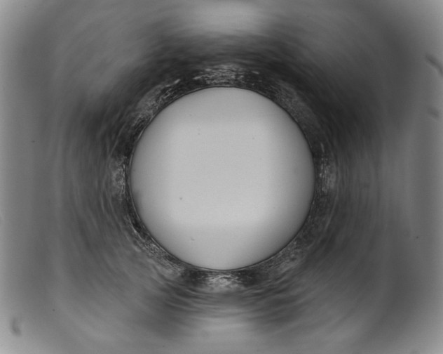 X0000099440753200805231717