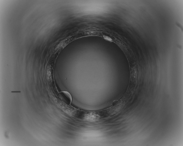 X0000099440754200805231717