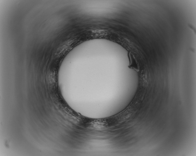 X0000099440756200805231717