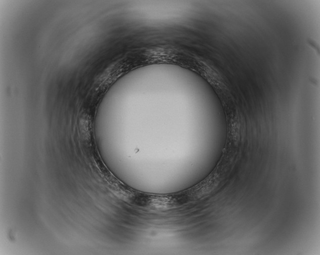 X0000099440757200805231717