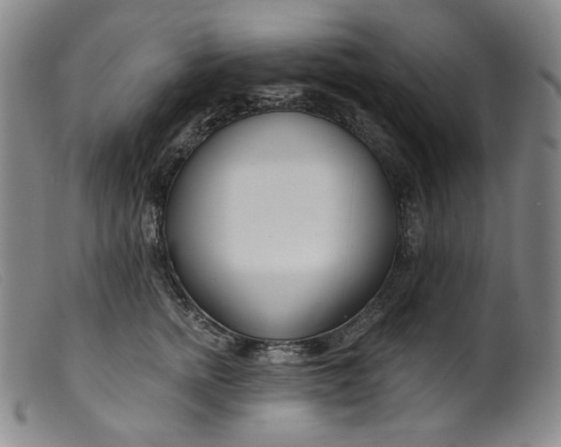 X0000099440758200805231717