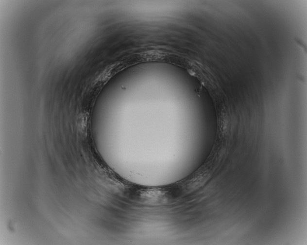 X0000099440759200805231717